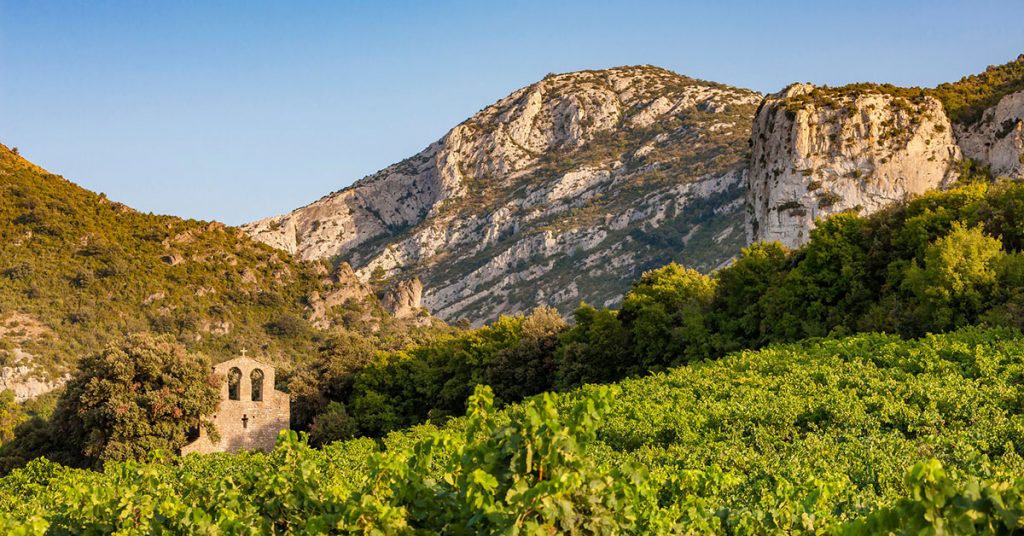 The Languedoc and the history of the French language